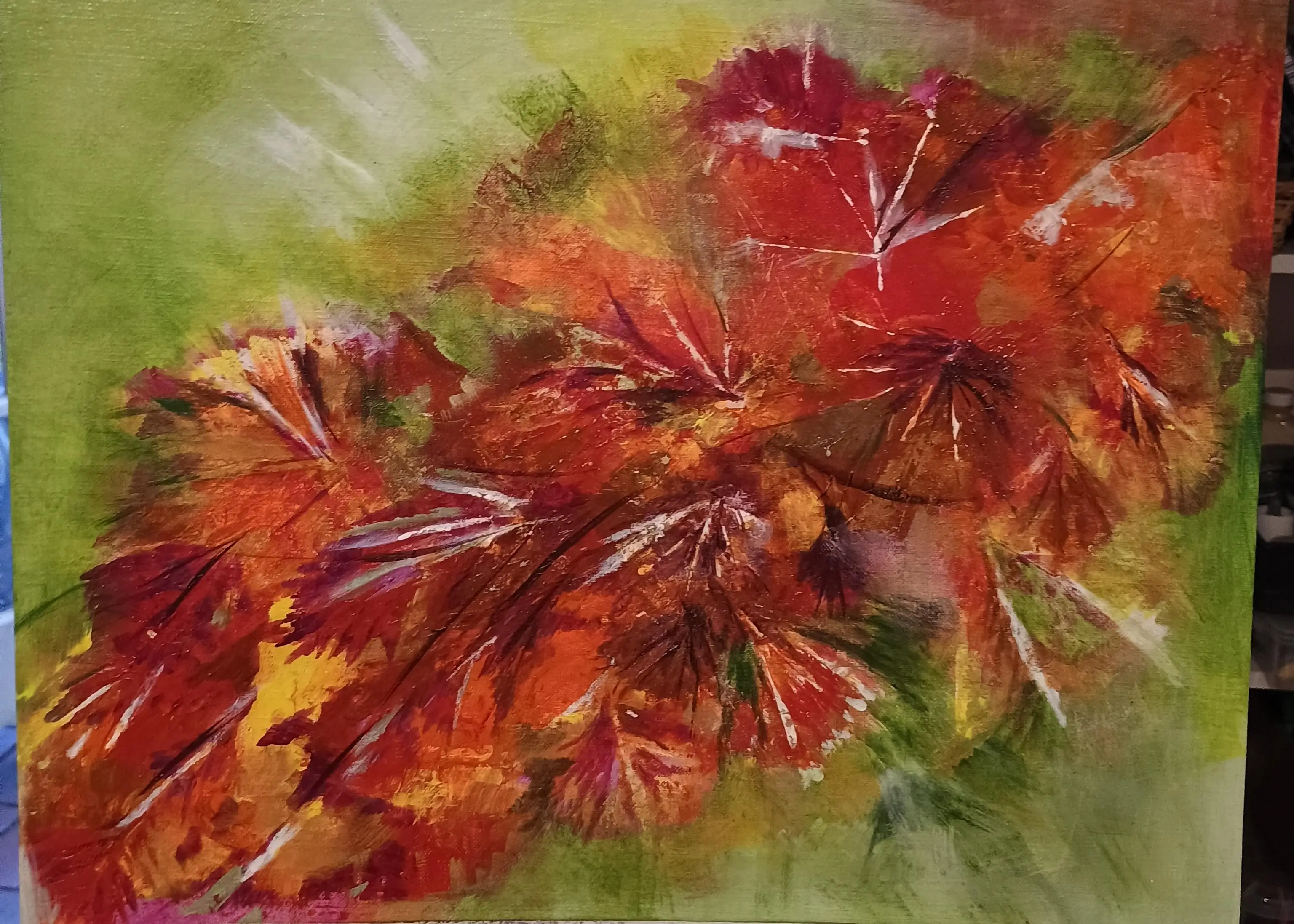 Autumn time in the back garden.