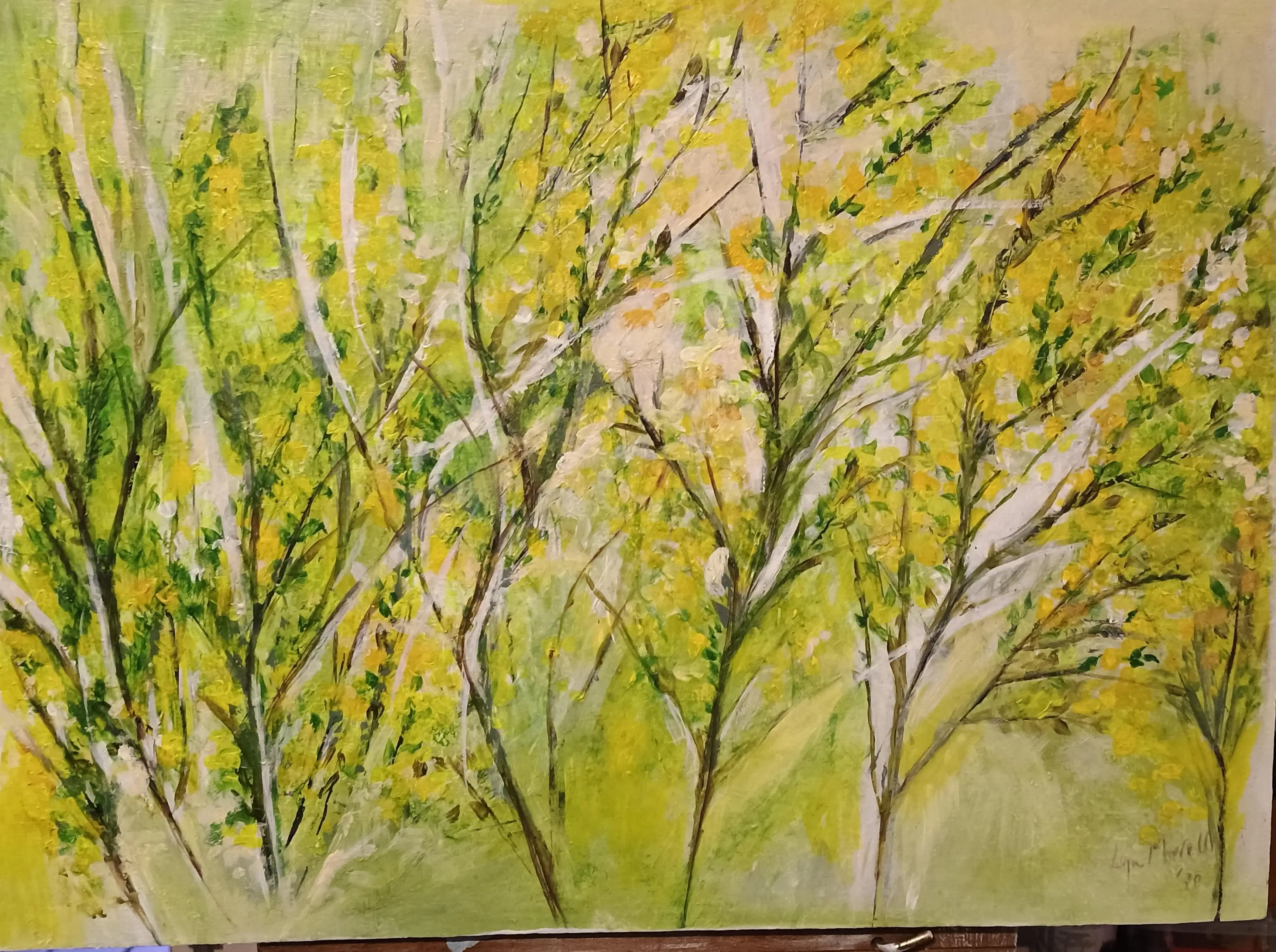 Wattle Time