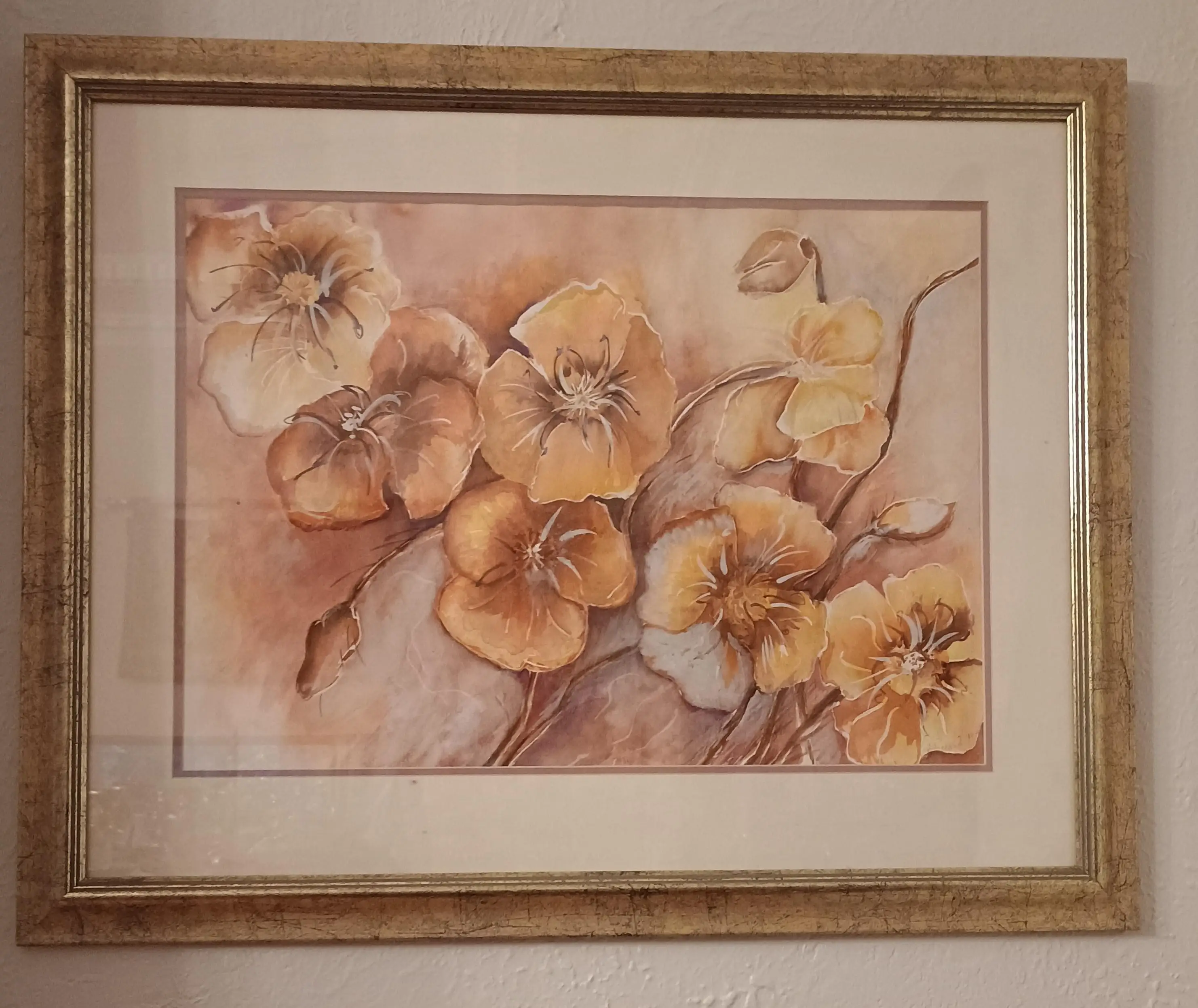 Poppies